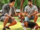 Cómo Tratar la Terquedad de un Basset Hound: Guía Práctica para Dueños