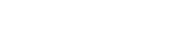 Bassethound.pe