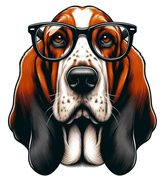 bassethound bassethound